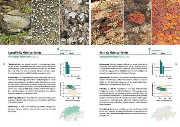 Produktbild: Flechten der Schweiz