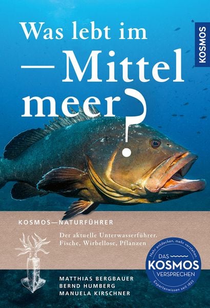 Produktbild: Was lebt im Mittelmeer?