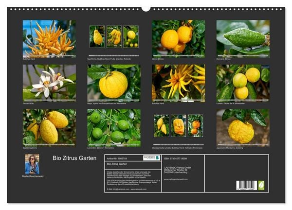 Produktbild: Bio Zitrus Garten (Wandkalender 2026 DIN A2 quer), CALVENDO Monatskalender