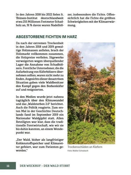 Produktbild: Wald im Wandel