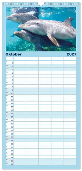 Produktbild: Familienplaner 2027 - Delfine: Elegante Wellenreiter mit 5 Spalten (Wandkalender, 21 x 45 cm) CALVENDO