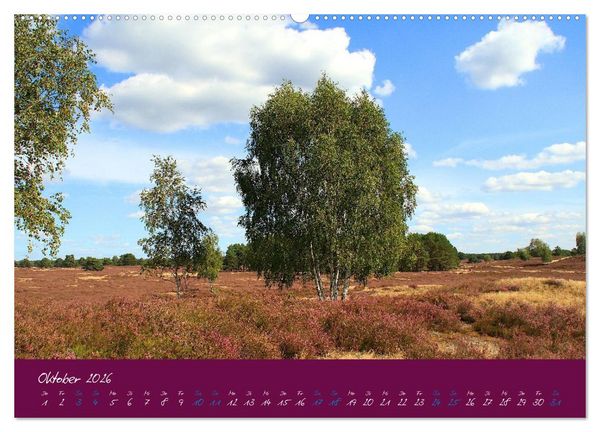 Produktbild: Die Nemitzer Heide - Im Wendland unterwegs (Wandkalender 2026 DIN A2 quer), CALVENDO Monatskalender