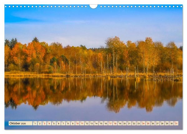 Produktbild: Herbst im Schwenninger Moos (Wandkalender 2026 DIN A3 quer), CALVENDO Monatskalender