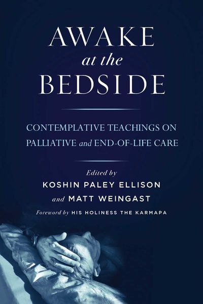 Produktbild: Awake at the Bedside