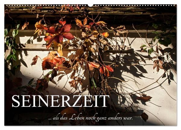 Produktbild: Seinerzeit (Wandkalender 2026 DIN A2 quer), CALVENDO Monatskalender