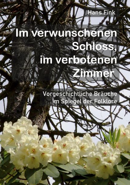 Produktbild: Im verwunschenen Schloss, im verbotenen Zimmer
