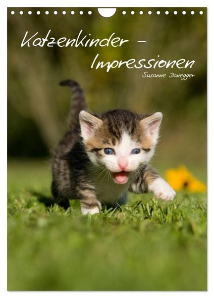 Produktbild: Katzenkinder - Impressionen (Wandkalender 2026 DIN A4 hoch), CALVENDO Monatskalender
