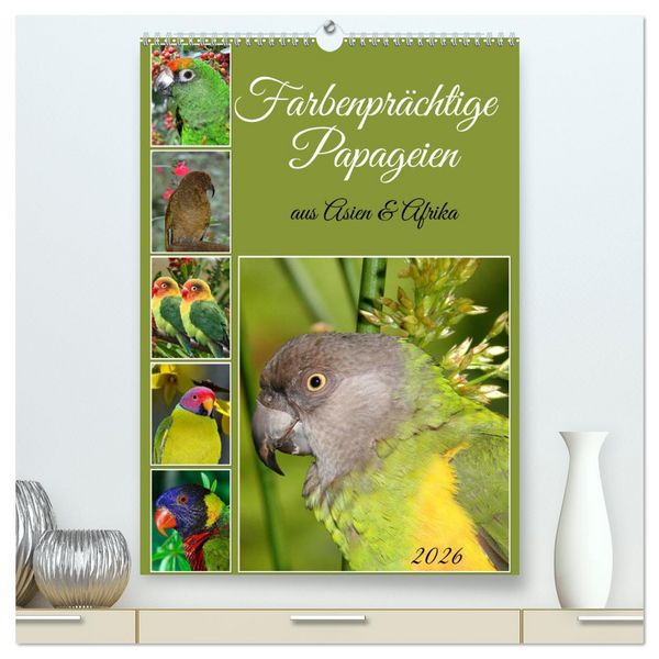 Produktbild: Farbenpr&auml;chtige Papageien aus Asien und Afrika (hochwertiger Premium Wandkalender 2026 DIN A2 hoch), Kunstdruck in Hochglanz