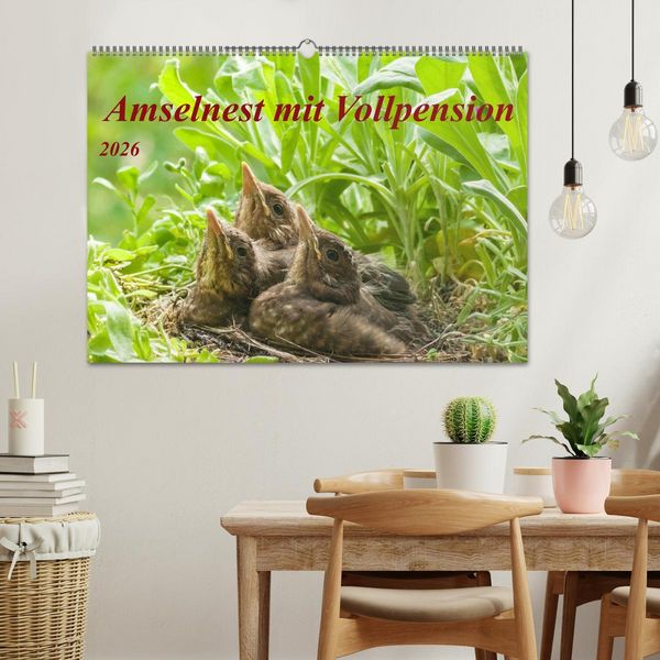 Produktbild: Amselnest mit Vollpension (Wandkalender 2026 DIN A2 quer), CALVENDO Monatskalender