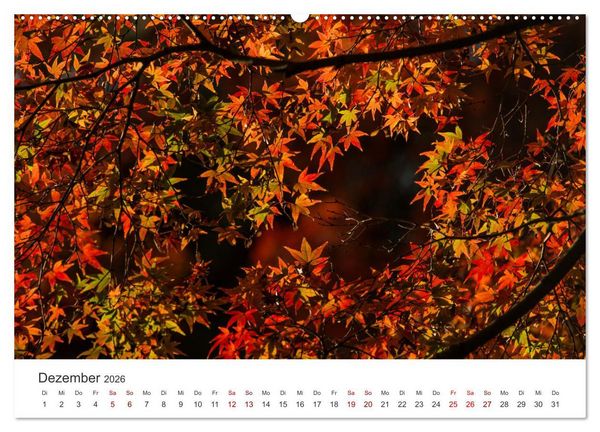 Produktbild: Japanischer Herbst und Laub (Wandkalender 2026 DIN A2 quer), CALVENDO Monatskalender