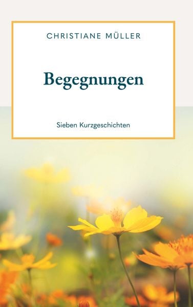 Produktbild: Begegnungen - Sieben Kurzgeschichten