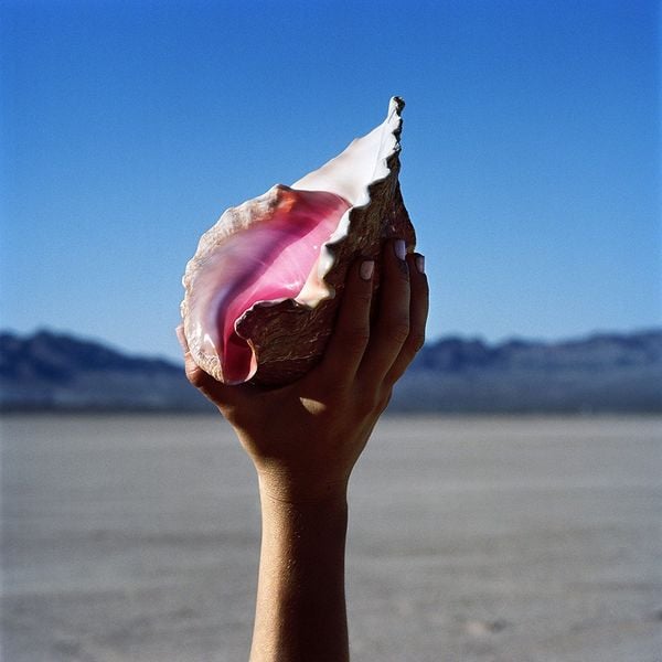 Produktbild: Wonderful Wonderful (Vinyl)