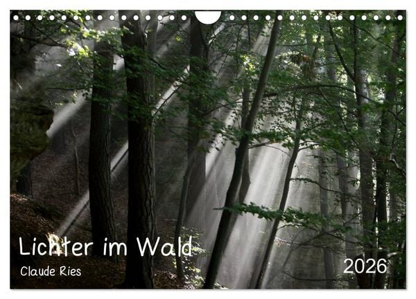 Produktbild: Lichter im Wald (Wandkalender 2026 DIN A4 quer), CALVENDO Monatskalender