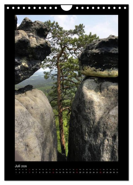 Produktbild: Mythos Baum / 2026 (Wandkalender 2026 DIN A4 hoch), CALVENDO Monatskalender