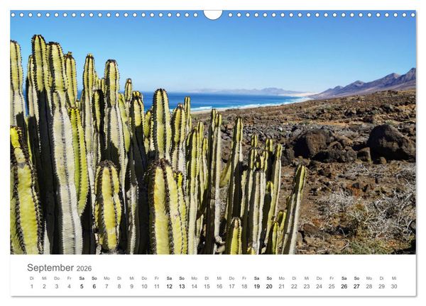 Produktbild: Fuerteventura - die W&uuml;steninsel der Kanaren (Wandkalender 2026 DIN A3 quer), CALVENDO Monatskalender