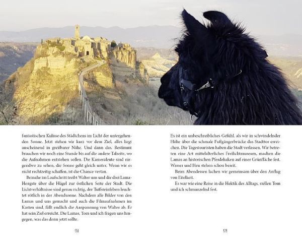 Produktbild: Mit drei Lamas nach Rom