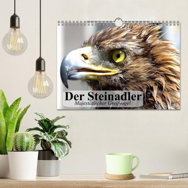 Produktbild: Der Steinadler. Majest&auml;tischer Greifvogel (Wandkalender 2026 DIN A4 quer), CALVENDO Monatskalender