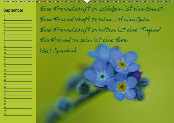 Produktbild: Vergiss mein nicht Geburtstagskalender (Wandkalender immerw&auml;hrend DIN A2 quer)