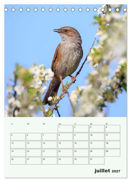 Produktbild: Voyage ornithologique (Calendrier de bureau 2027 DIN A5 horizontal), CALVENDO calendrier mensuel
