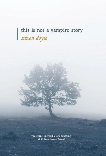 Produktbild: This is Not a Vampire Story