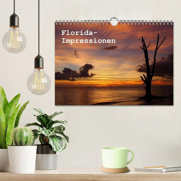 Produktbild: Florida Impressionen (Wandkalender 2026 DIN A4 quer), CALVENDO Monatskalender