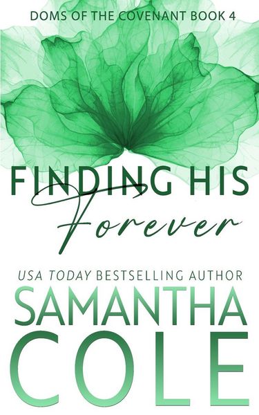 Produktbild: Finding His Forever