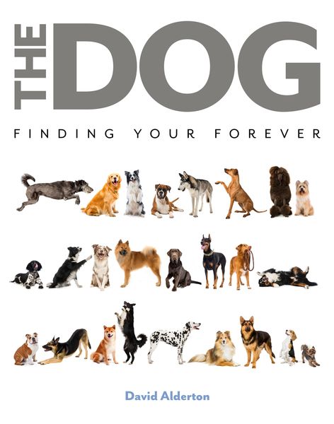 Produktbild: The Dog