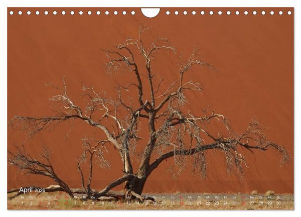 Produktbild: Afrikanische B&auml;ume (Wandkalender 2026 DIN A4 quer), CALVENDO Monatskalender