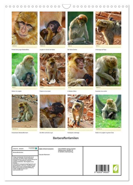 Produktbild: Berberaffenfamilien (Wandkalender 2026 DIN A3 hoch), CALVENDO Monatskalender