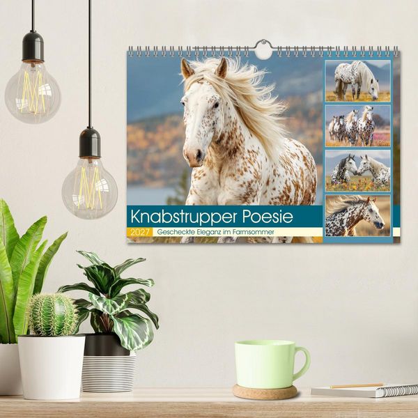 Produktbild: Knabstrupper Poesie. Gescheckte Eleganz im Farmsommer (Wandkalender 2027 DIN A4 quer), CALVENDO Monatskalender