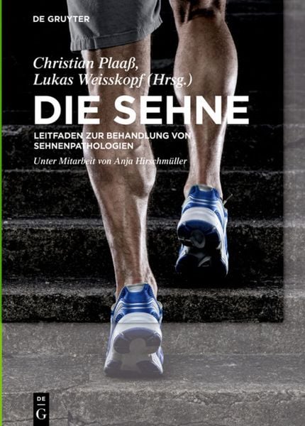 Die Sehne, Gebundene Ausgabe von , De Gruyter, 978-3-11-042728-8