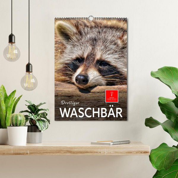 Produktbild: Drolliger Waschb&auml;r (Wandkalender 2026 DIN A3 hoch), CALVENDO Monatskalender