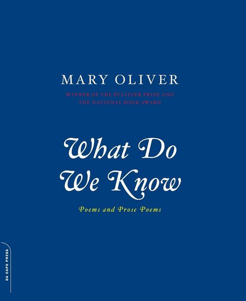 Produktbild: What Do We Know