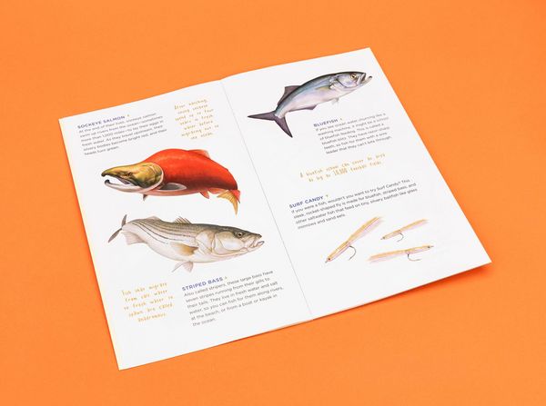 Produktbild: The Perfect Catch of Tattoo Fish