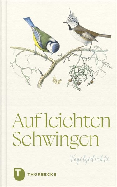 Auf leichten Schwingen, Gebundene Ausgabe von , Jan Thorbecke Verlag, 9783799521109