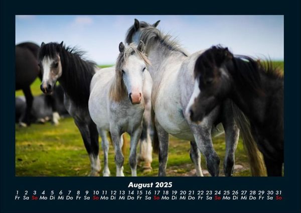 Produktbild: Pferdegefl&uuml;ster 2025 Fotokalender DIN A4