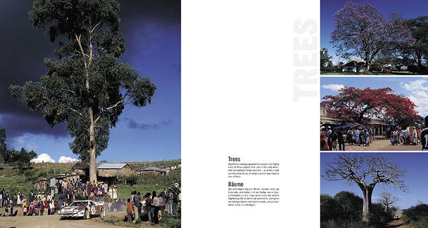 Produktbild: Safari Rally