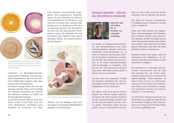 Das große Faszien-Yoga Buch
