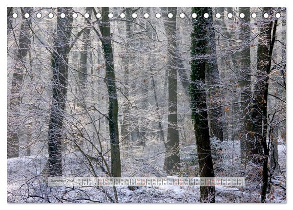 Produktbild: Wald im Bergischen Land 2026 (Tischkalender 2026 DIN A5 quer), CALVENDO Monatskalender