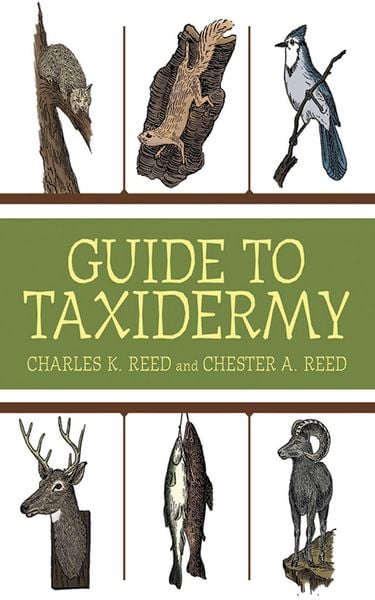 Produktbild: Guide to Taxidermy