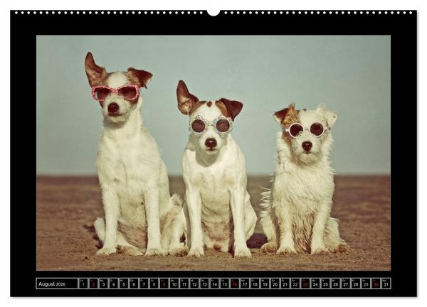 Produktbild: Parson Russell Terrier (hochwertiger Premium Wandkalender 2026 DIN A2 quer), Kunstdruck in Hochglanz
