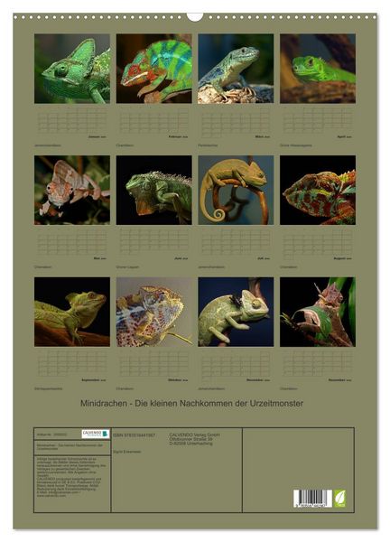 Produktbild: Minidrachen - Die kleinen Nachkommen der Urzeitmonster (Wandkalender 2026 DIN A2 hoch), CALVENDO Monatskalender