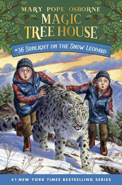 Produktbild: Sunlight on the Snow Leopard