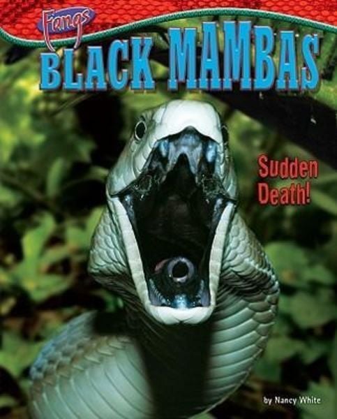 Produktbild: Black Mambas: Sudden Death!