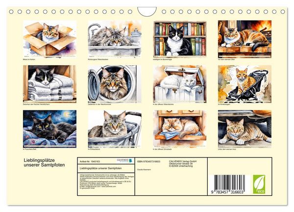 Produktbild: Lieblingspl&auml;tze unserer Samtpfoten (Wandkalender 2026 DIN A4 quer), CALVENDO Monatskalender
