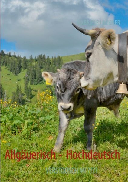 Produktbild: Allg&auml;uerisch - Hochdeutsch