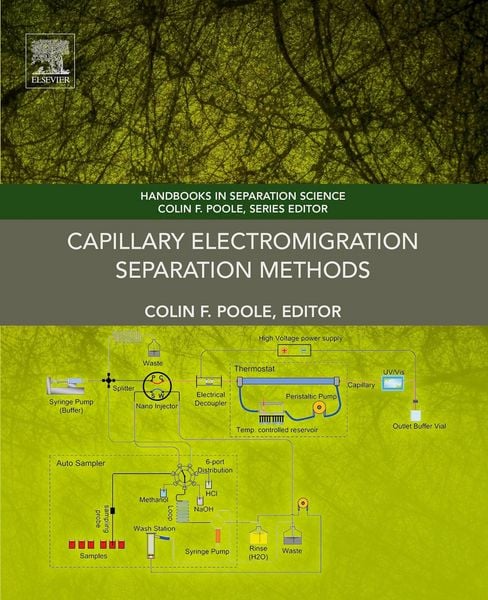 Produktbild: Capillary Electromigration Separation Methods