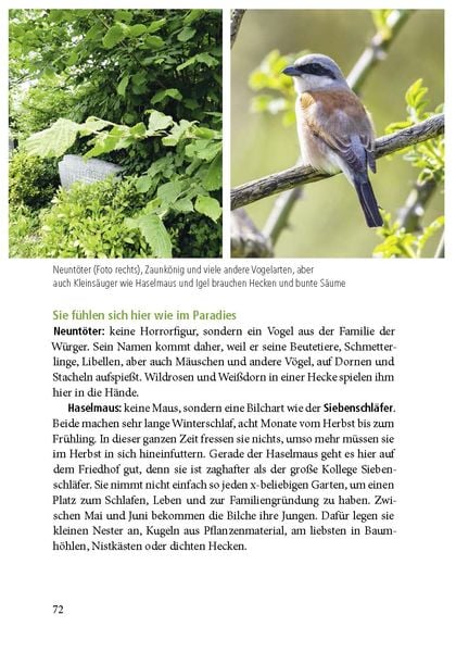 Produktbild: Der Friedhof lebt!