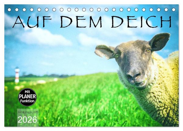 Produktbild: AUF DEM DEICH (Tischkalender 2026 DIN A5 quer), CALVENDO Monatskalender