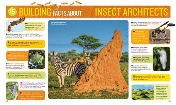 Produktbild: 1,000 Facts about Insects